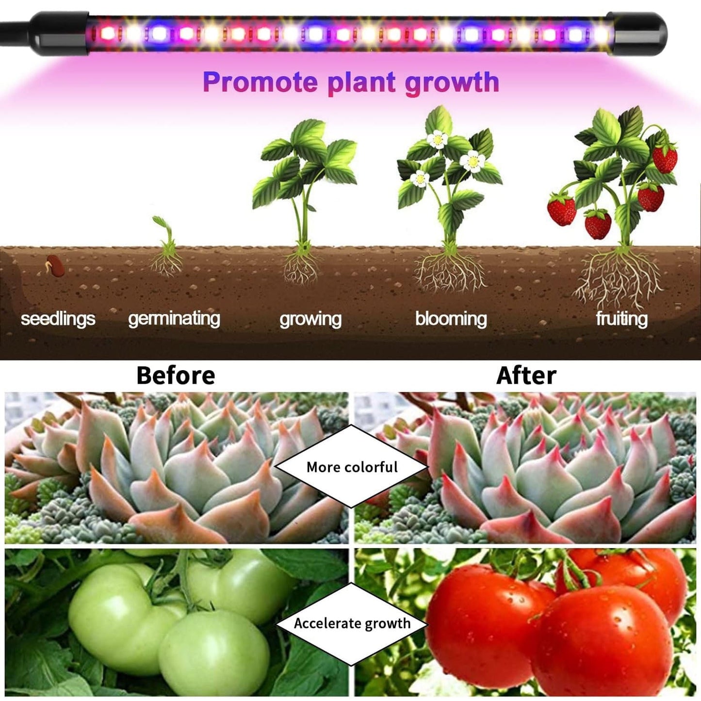 Fterwk Grow Lights for Indoor Plants, Four Head 80 LED Grow Light with Full Spectrum, Adjustable Gooseneck, Auto on off Timing 4 8 12Hrs